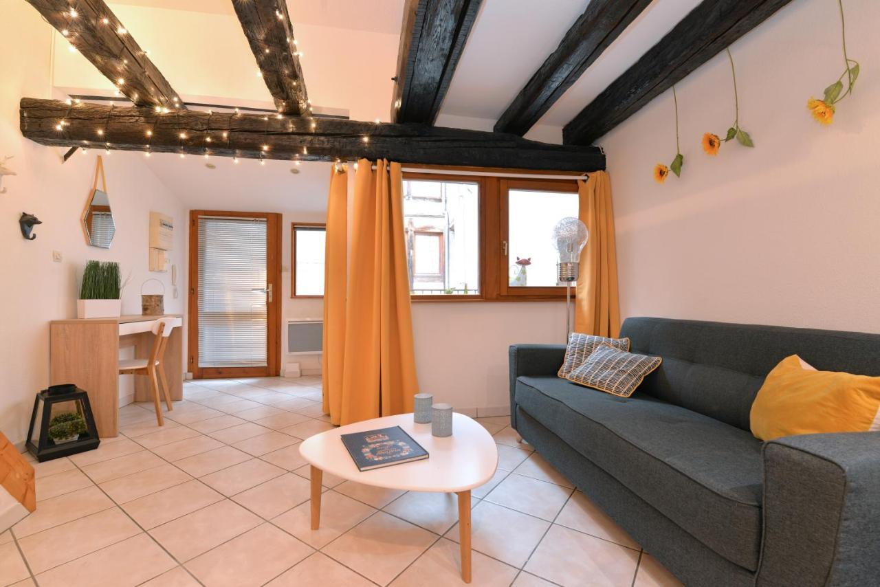 Appartement La Terrasse Sur Cour Colmar Exterior foto